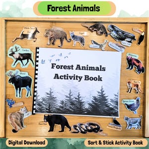 Bosbiomen voor kinderen, activiteitenboek dierenhabitats, loofbos, taiga, regenwoud, Chaparral-ecosystemen, Montessori Nature Matching