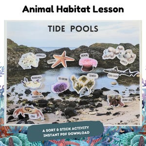 May include: A colourful educational poster for a sort and stick activity about tide pools. The poster features illustrations of various sea creatures and plants, including starfish, sea urchins, anemones, barnacles, and seaweed. The text "Tide Pools" is at the top of the poster, and the text "A Sort & Stick Activity Instant PDF Download" is at the bottom.