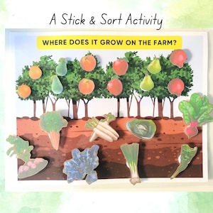 May include: A colorful educational game for kids featuring a farm scene with different fruits and vegetables. The game includes a board with trees and a ground, and various pieces representing different crops. The text on the board reads "Where does it grow on the farm?"