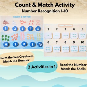 May include: A colorful educational activity sheet with two activities. The first activity is to count the sea creatures and match the number. The second activity is to read the number and match the shells. The sheet has a blue, white, and yellow background with a beach theme.