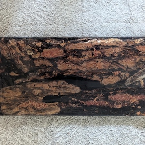Epoxy Bark Wall Art, Real Foraged Burned Wood, Handmade Unique Natural Ponderosa Pine Decor, Rustic Grunge Wall Hanging Art