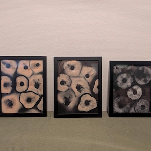 Puede incluir: Tres obras de arte abstractas enmarcadas. Cada marco negro contiene un diseño único de formas orgánicas en tonos beige, negro y gris. La obra de arte se exhibe sobre una superficie verde contra una pared neutra.