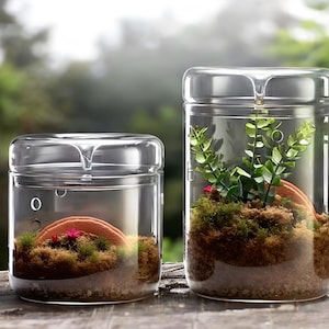 Puede incluir: Dos terrarios de vidrio transparente con tapas, uno más grande que el otro. El terrario más grande contiene plantas verdes, musgo y tierra marrón. El terrario más pequeño contiene musgo, tierra marrón y una pequeña flor rosa.