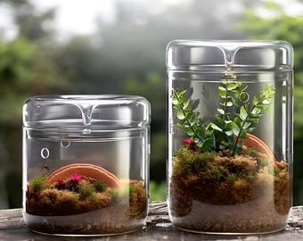 JAMJAR Glass Terrarium: Vented Moss & Rainforest Micro Garden