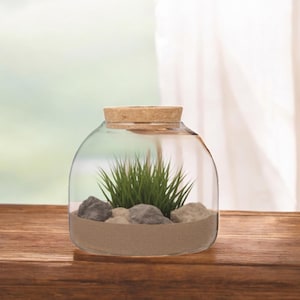 Wide Open Glass Terrarium with Cork Top (5.9 x 5.9 inches)