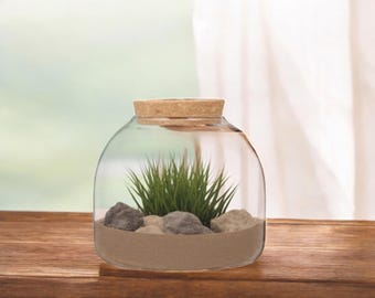 Wide Open Glass Terrarium with Cork Top (5.9 x 5.9 inches)