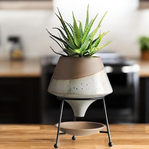 May include: A white and brown ceramic planter with a black metal stand. The planter has a wide, flared base and a narrow opening at the top. The stand has three legs and a small dish underneath the planter. A green succulent plant is growing in the planter.