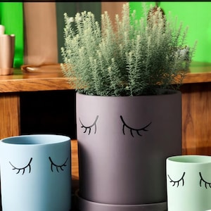 EYELASHES PLANT POT - 3 sizes!