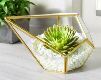 Terrario geométrico para el hogar, microjardín
