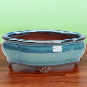 Peut inclure: Un pot à bonsaï ovale en céramique émaillée bleue avec trois pieds décoratifs. Le pot a un intérieur en terre cuite brune.
