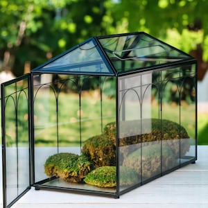 Vintage Style Greenhouse Terrarium: Black & Gold Indoor Glass Planter