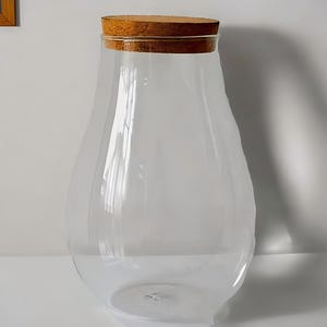 May include: A large, clear glass vase with a wide mouth and a cork lid. The vase has a rounded, pear-shaped body.