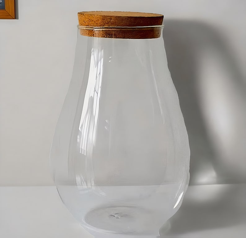 May include: A large, clear glass vase with a wide mouth and a cork lid. The vase has a rounded, pear-shaped body.