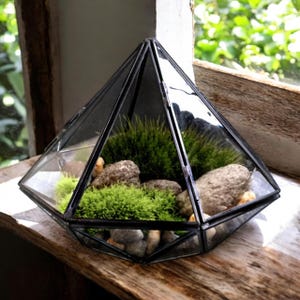 Diamond Gemstone Terrarium: Black Frame Moss Garden