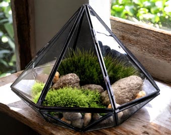 Diamond Gemstone Terrarium: Black Frame Moss Garden