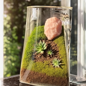 Square Bottom, Circular lid, Mouth Micro Landscape Glass Jars with wooden Lid, Glass Vase, Succulent & Moss Garden, terrarium handmade