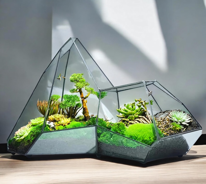 Large Geometric Glass Terrarium: Nordic Rainforest Vase, Desk Decor - Etsy