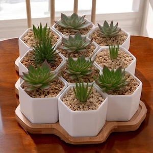 Sechseckige Keramik Sukkulenten Töpfe mit Holztablett - Moderne Schreibtisch Dekoration
