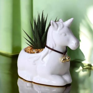 Pode incluir: Vaso de cerâmica branco em forma de unicórnio com uma pequena planta suculenta dentro. O unicórnio tem uma tira de couro marrom ao redor do pescoço com dois sinos dourados pendurados.