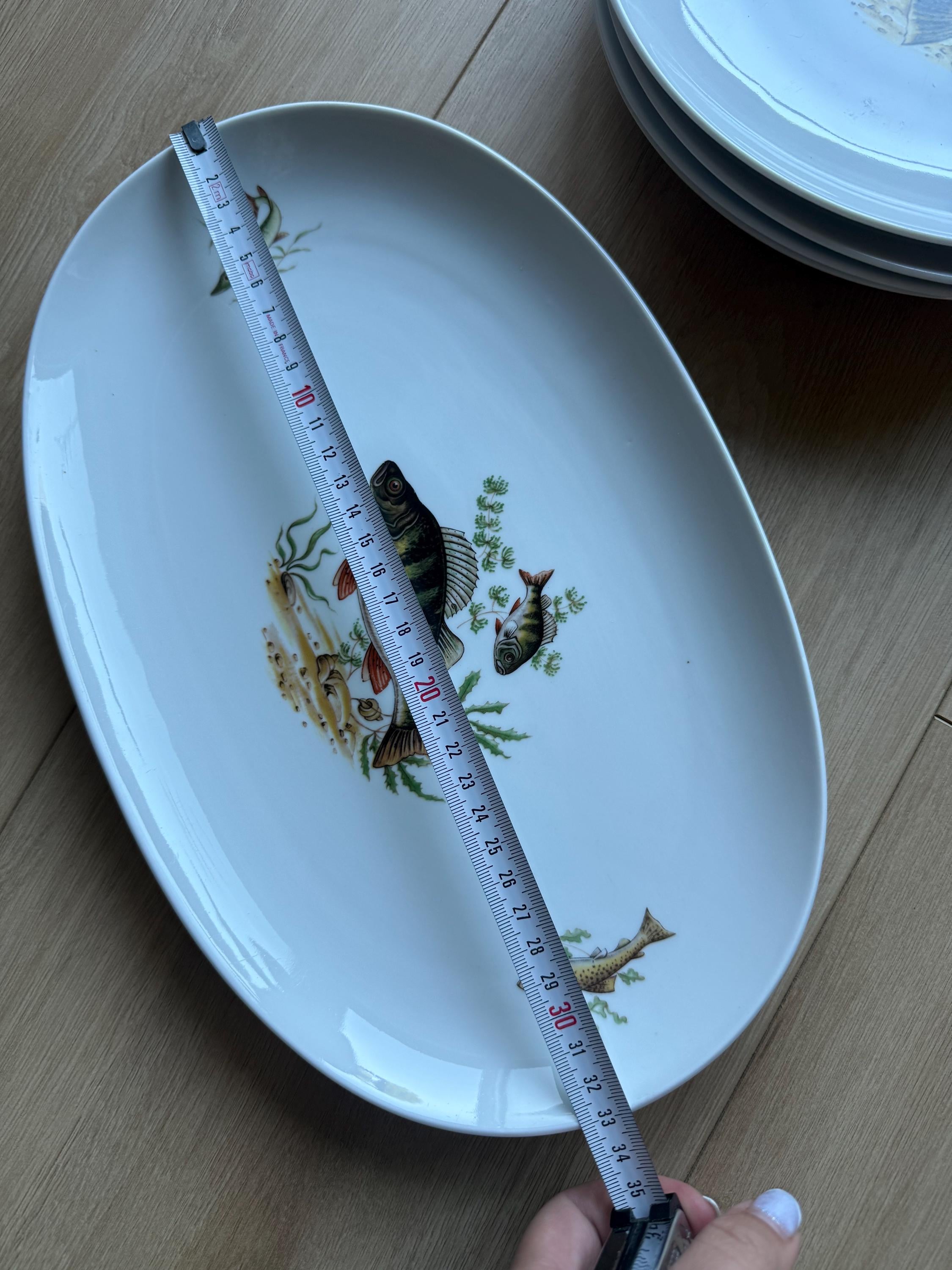 Vintage Schumann Arzberg Bavaria Fish Plates Set – German