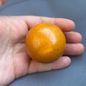 Può includere: Una piccola sfera arancione-gialla, con macchie scure. La superficie liscia e lucida riflette la luce. L'oggetto è tenuto in una mano, suggerendo le sue dimensioni. Il colore e la consistenza gli conferiscono un aspetto naturale e organico.