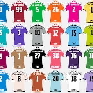 Könnte beinhalten: Ein Raster aus vierundzwanzig kurzärmeligen Sporttrikots in verschiedenen Unifarben, die jeweils einen einzigartigen Vereinsnamen, eine große Spielernummer und einen Spielernamen in schwarzer oder weißer Schrift auf der Rückseite zeigen.