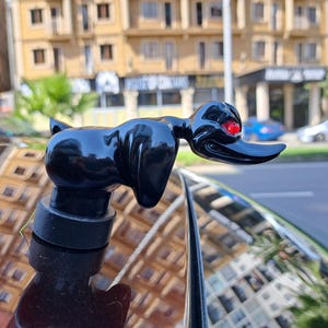 Könnte beinhalten: Eine glänzend schwarze Enten-Kühlerfigur mit einem glatten, abgerundeten Körper und einem markanten, länglichen Schnabel. Die Ente hat ein einzelnes, kleines, leuchtend rotes kreisförmiges Auge an der Seite des Kopfes. Sie ist auf einem runden Sockel montiert.