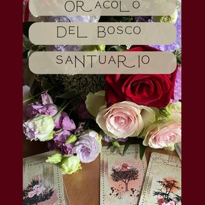 Oracolo del Bosco Santuario - 48 carte albero + piccolo manuale esplicativo