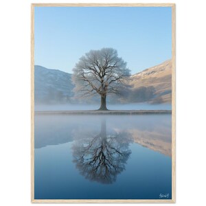 Frozen Reflection Framed Poster - Serenity in Nature