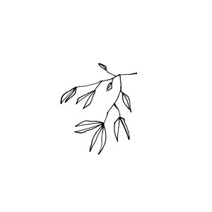 Stempel: Tuschezweig Drucke florale Akzente auf Papier Zweig, Blätter, Herbst, Gartenstempel, Garten, gärtnern, Saatgut, Samentütchen Bild 3