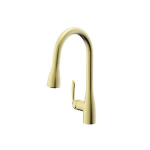 May include: A gold kitchen faucet with a single handle and a pull-down sprayer.