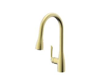 May include: A gold kitchen faucet with a single handle and a pull-down sprayer.