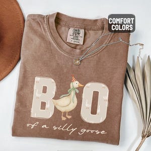May include: Espresso-colored t-shirt with the phrase "Boo of a silly goose" and a cartoon goose wearing a party hat. The shirt has a crew neck and short sleeves. A silver necklace with a pendant is draped across the shirt.