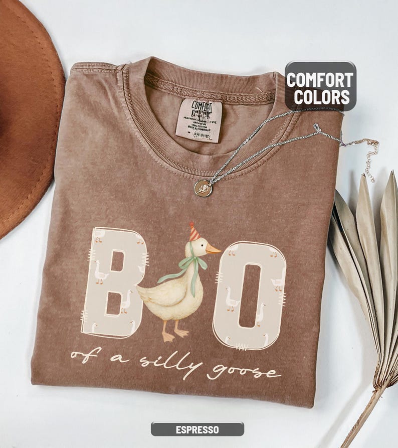 May include: Espresso-colored t-shirt with the phrase "Boo of a silly goose" and a cartoon goose wearing a party hat. The shirt has a crew neck and short sleeves. A silver necklace with a pendant is draped across the shirt.