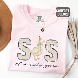 May include: A light pink t-shirt with the words "S of a silly goose" and a cartoon goose wearing a party hat. The shirt has the words "Comfort Colors" printed on the tag.