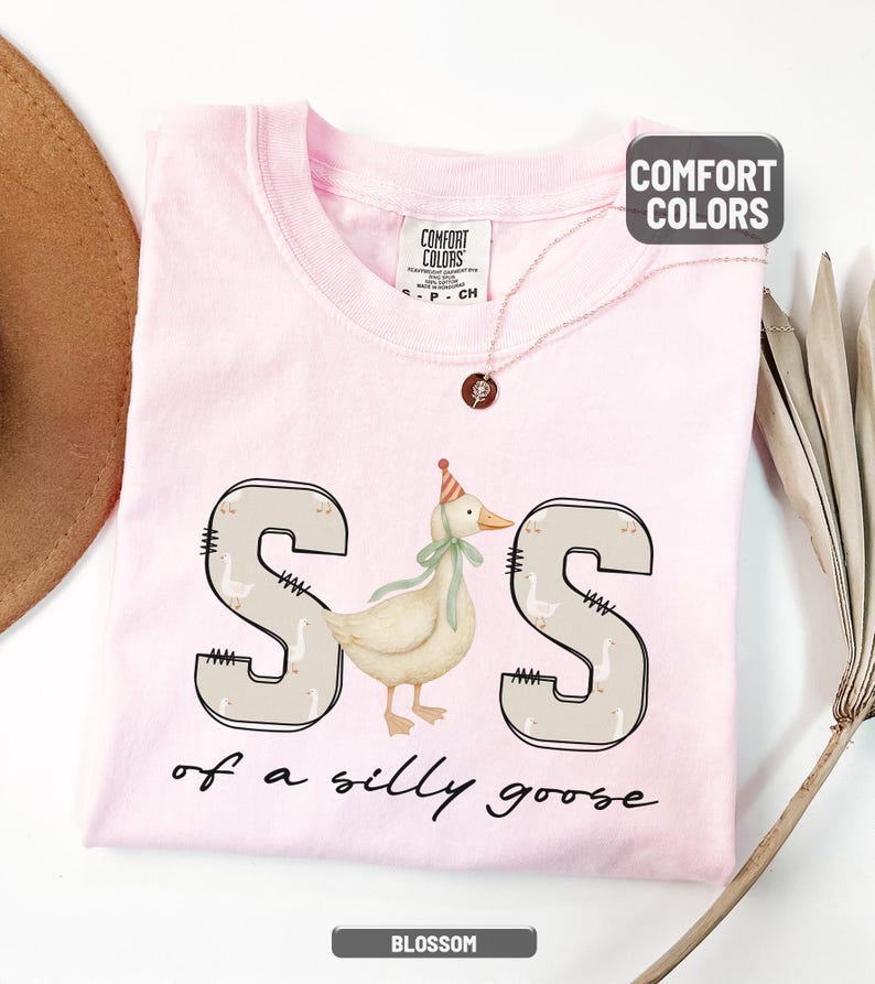 May include: A light pink t-shirt with the words "S of a silly goose" and a cartoon goose wearing a party hat. The shirt has the words "Comfort Colors" printed on the tag.