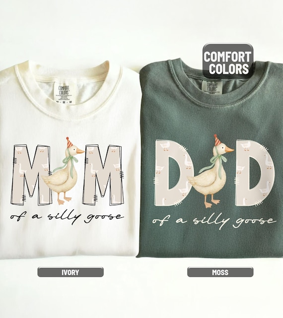 One Silly Goose 1st Birthday Matching Family Shirt, Goose Birthday First Birthday, Mama Goose Shirt, Custom Goose Shirt, Silly Goose Shirt