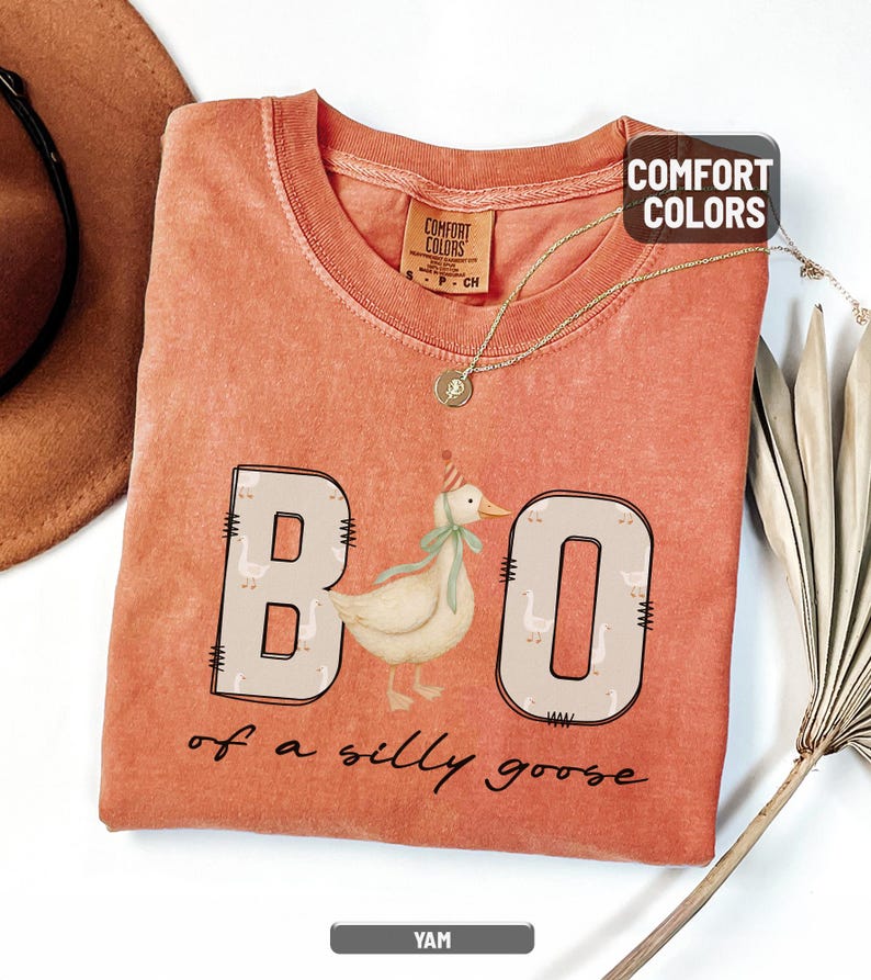 May include: A coral-colored t-shirt with the phrase "BOO of a silly goose" in black script. The "BOO" letters are outlined in beige and filled with goose illustrations. A cartoon goose wearing a party hat and bow tie is in the center.