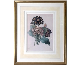 Set of 2 Framed Redouté Botanical Prints, French Matting, Primula Auricula, Gold Leaf Frames, 14x17 Floral Wall Art Pair