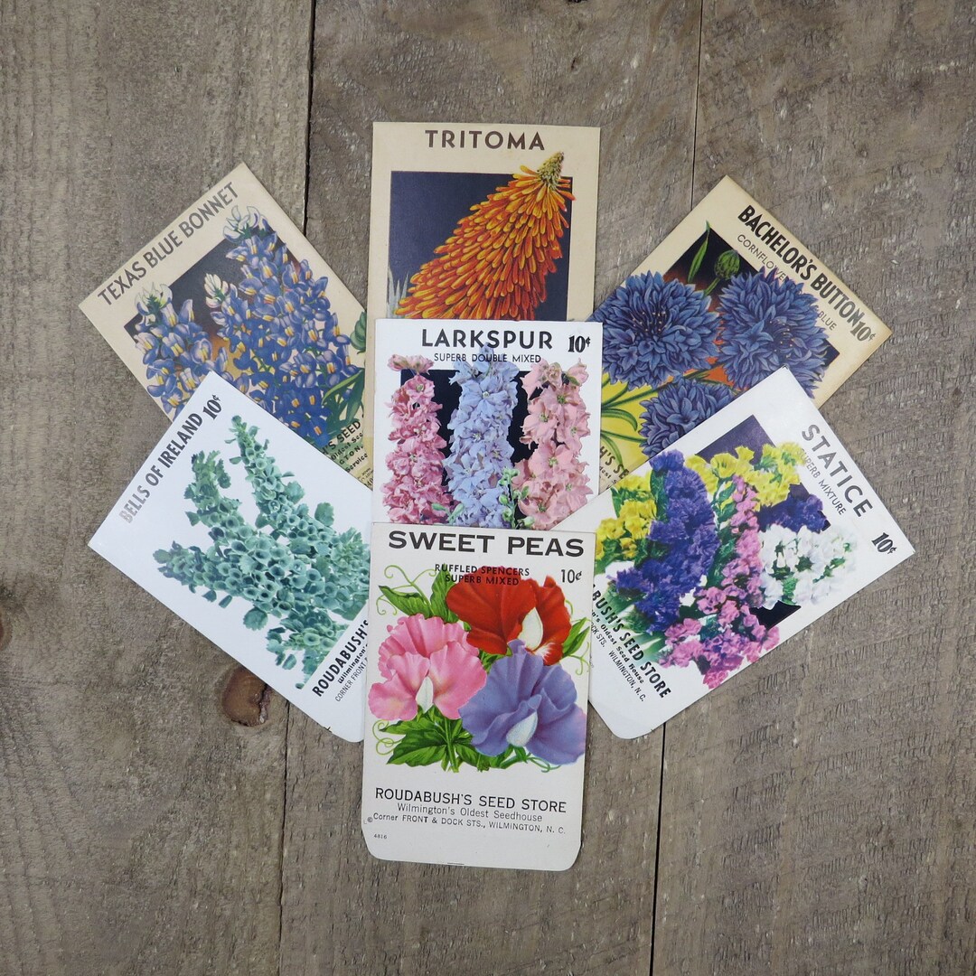 7 Vintage Flower Seed Packs Roudabush's Seed Store Schmidt Litho Bells ...