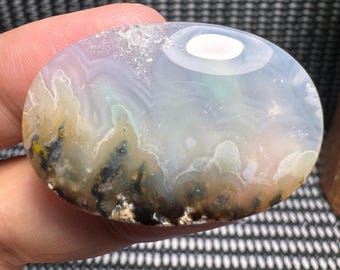 Black Copper Dendrite Petrified Wood Cabochon Gemstone