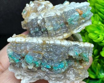 Specimen Botryoidal Chrysocolla - Home Decor Antique Gemstone Native Copper.