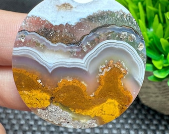 Moss Agate Cabochon - Ternate Orbicular Plume Agate