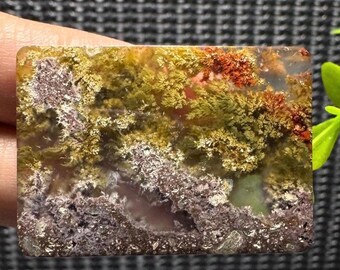 Scenic - Moss Agate Cabochon Gemstone