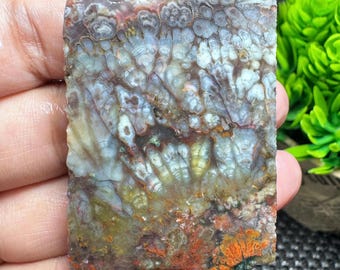 Slab - RAW Plume Agate Copper - Opalizet Wood Cabochon - Rare Motif Gemstone