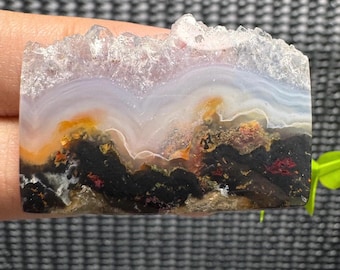 Black Copper Dendrite Petrified Wood Cabochon Gemstone