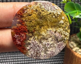 Scenic - Moss Agate Cabochon Gemstone
