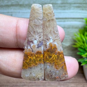 Puede incluir: Dos cabujones de piedras preciosas pulidas y alargadas. Las piedras presentan una mezcla de tonos beige, blanco y naranja con intrincados patrones naturales. La sección inferior de cada piedra tiene un color naranja vibrante.