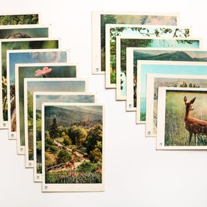 Set of 15 pcs. Vintage Postcards with Ukrainian landscapes, 1960s