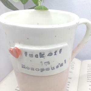 May include: A ceramic mug with a speckled white upper section and a solid light pink lower section. A raised rectangular plaque on the front features the black text "fuck off i'm Menopausal" and a small, attached three-dimensional orange heart.
